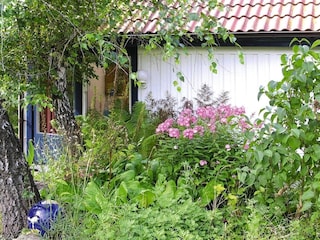 Vakantiehuis Kivik  21