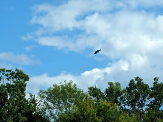 Ferienhaus Söderåkra  17