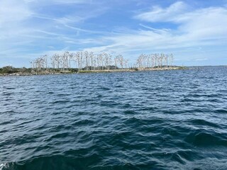 Holiday house Söderåkra  9