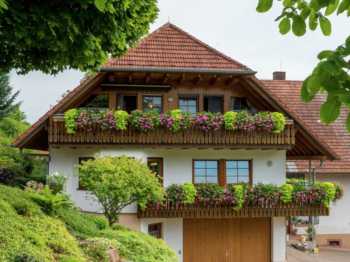 Casa de campo Schuttertal Grabación al aire libre 1