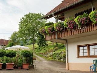 Farmhouse Schuttertal Outdoor Recording 9