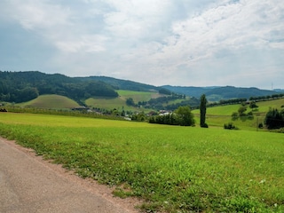 Type de propriété : Ferme Schuttertal Environnement 32