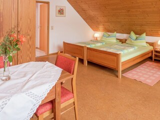 Casa de campo Schuttertal Características 19