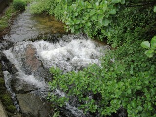 Type de propriété : Ferme Schuttertal Environnement 34