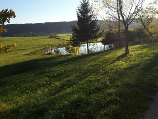 Farmhouse Schuttertal Environment 34