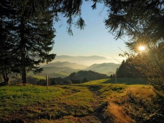 Farmhouse Schuttertal Environment 38