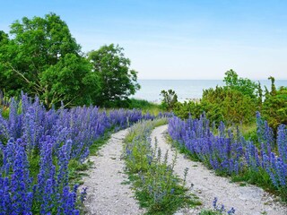 Holiday house Lärbro  15