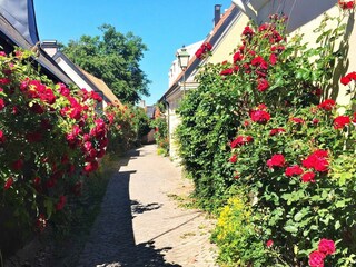 Vakantiehuis Lärbro  30