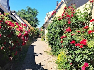 Vakantiehuis Lärbro  36