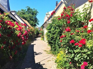 Holiday house Lärbro  27