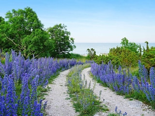 Ferienhaus Lärbro  34