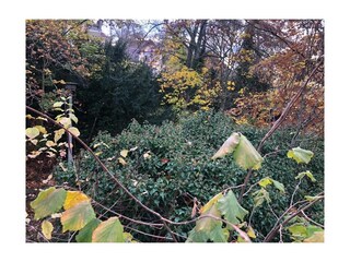 Casa per le vacanze Wernigerode Registrazione all'aperto 2