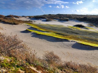 Casa per le vacanze Brouwershaven Ambiente 12