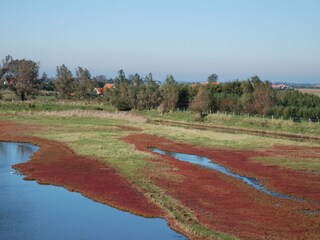 Naturgebiet Plan Tureluur