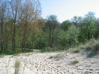 Casa per le vacanze Brouwershaven Ambiente 16