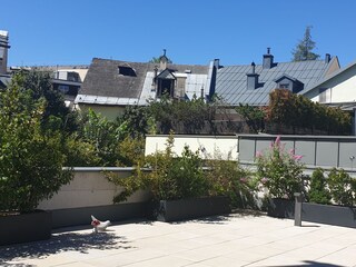 Narzisse apartment - the terrace