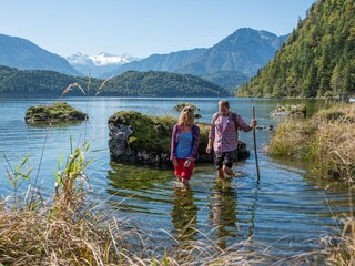 Appartamento per vacanze Bad Aussee Ambiente 24