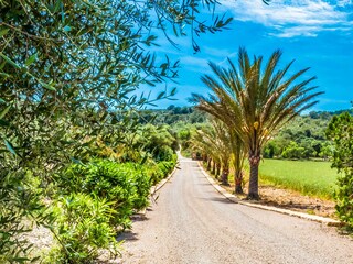 Casa de campo Cas Concos Entorno 32