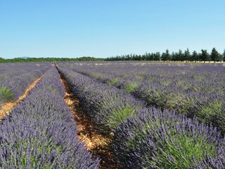 Casa per le vacanze Cotignac Ambiente 30