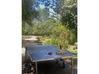 Casa per le vacanze Montfort-sur-Argens  30