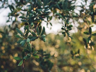 Ferienhaus Cotignac  24