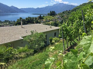 Holiday apartment Gordola Outdoor Recording 7