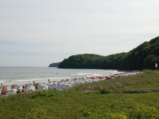 Blick Richtung Fischerstrand, Wald Granitz