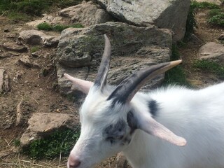 Appartamento per vacanze Millstatt Ambiente 35