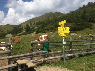 Appartamento per vacanze Millstatt Ambiente 36