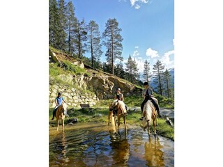 Horse riding in the ötztal - the Veitenhof