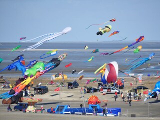 Drachenfestival in der Perlebucht