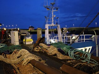 Museumshafen in abendlicher Stimmung