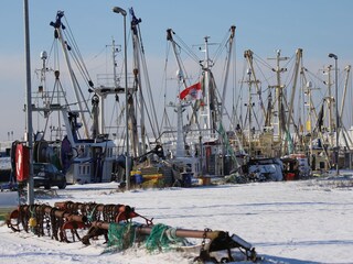 Schiffe im schneebedeckten Hafen