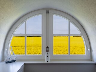 Blick aus der Gaube auf das Rapsfeld