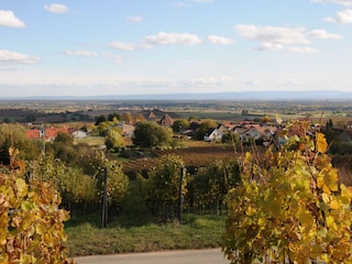 Blick zur Rheinebene