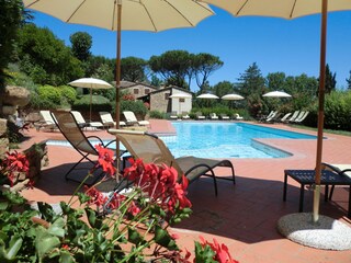 Appartamento per vacanze Montaione Registrazione all'aperto 14