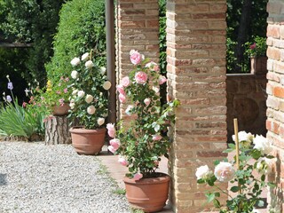 Appartamento per vacanze Montaione Registrazione all'aperto 11