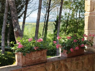 Appartamento per vacanze Montaione Registrazione all'aperto 15