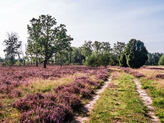 Casa per le vacanze Drijber Ambiente 33