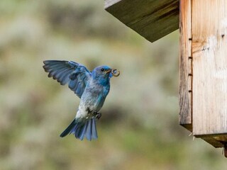 Casa per le vacanze Drijber Ambiente 34