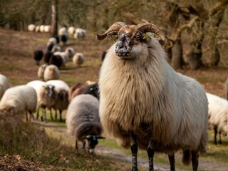 Casa per le vacanze Drijber Ambiente 35
