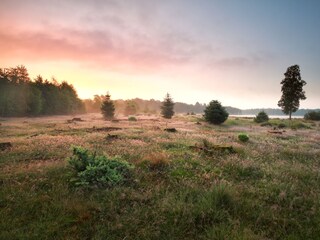 Casa per le vacanze Drijber Ambiente 38