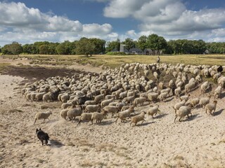 Casa per le vacanze Drijber Ambiente 39