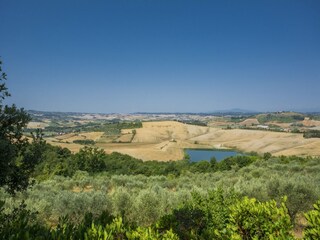 Type de propriété : Ferme Certaldo Enregistrement extérieur 22