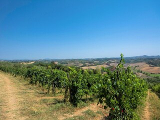 Fattoria Certaldo Registrazione all'aperto 6