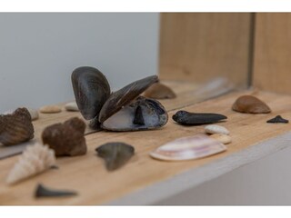 Casa per le vacanze Nieuwvliet  39