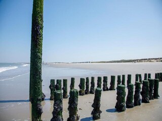 Casa de vacaciones Nieuwvliet Entorno 26