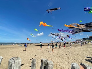 Holiday house Nieuwvliet Environment 30