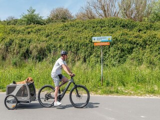 Vakantiehuis Nieuwvliet Omgeving 41
