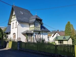 Ferienhaus Villa Lilly - Hundsdorf (Westerwald) - image1